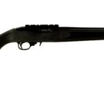 New Ruger 10/22 Semi-Automatic Carbine,  .22 LR, 18.5″ Barrel, Factory Installed Scope Base, Satin Black Finish, 10 Rounds, 1 Magazine: Only $247!