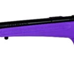 New Savage Arms Rascal Bolt Action Rifle, .22 LR, 16.1″ Barrel, Purple Synthetic Stock, Single Shot, AccuTrigger: Only $169!