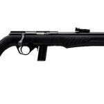 .22LR