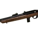 .22LR