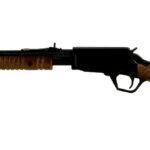 .22 WMR