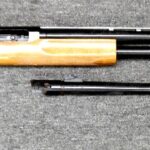 20 Gauge