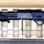 12 Gauge