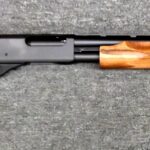 20 Gauge