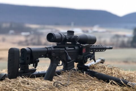 Ruger Precision .308
