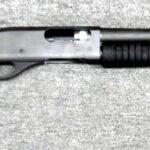 12 Gauge
