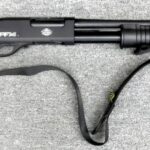 12 Gauge