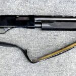 12 Gauge