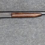12 Gauge